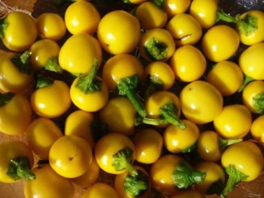 Арбуз с черными полосками