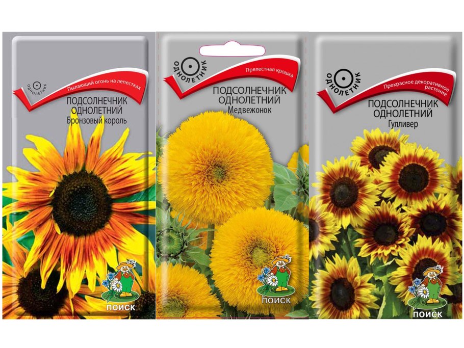 Подсолнечник Посейдон 625