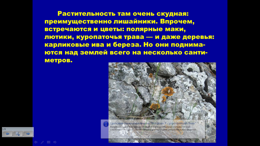 Растения ледяной зоны 4 класс