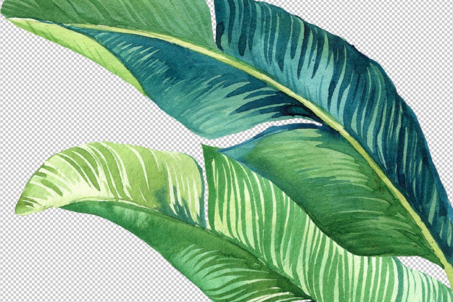 Тропические растения акварель