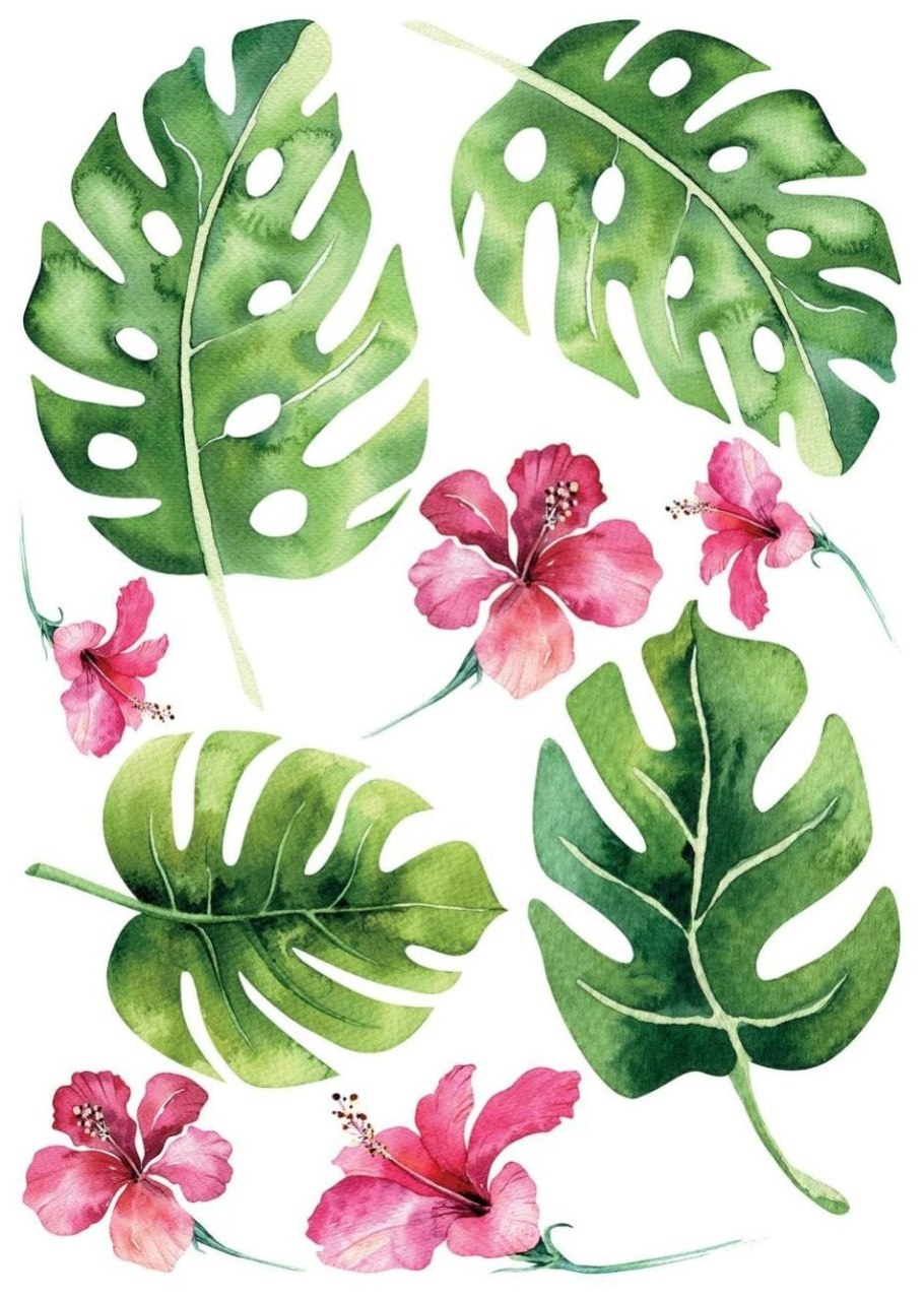 Монстера Пальма тропики листья акварель