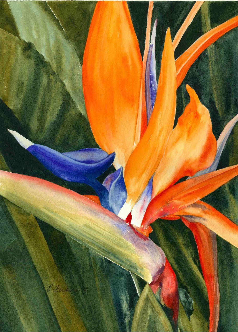 Тропики живопись