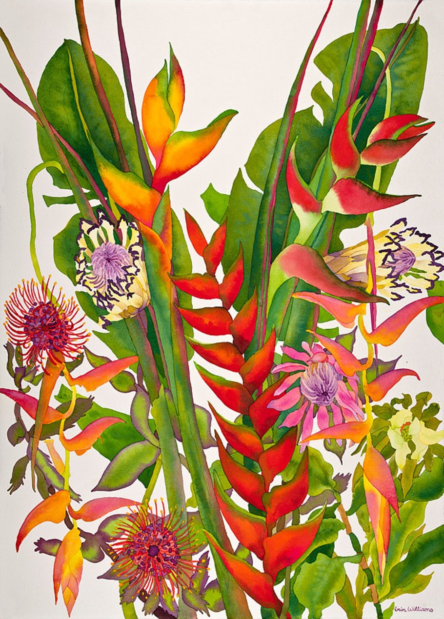 Монстера Делициоза (Monstera deliciosa)