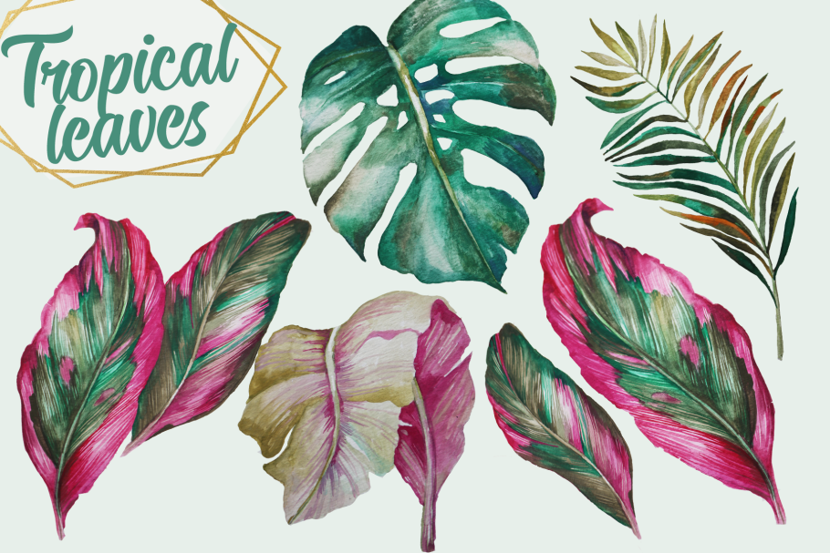Листья монстеры и пальмы акварелью