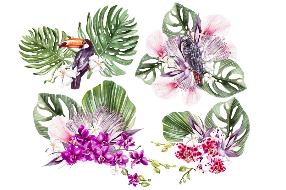 Папоротник монстера акравель