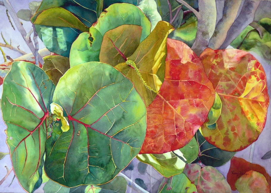 Зеленые растения акварелью