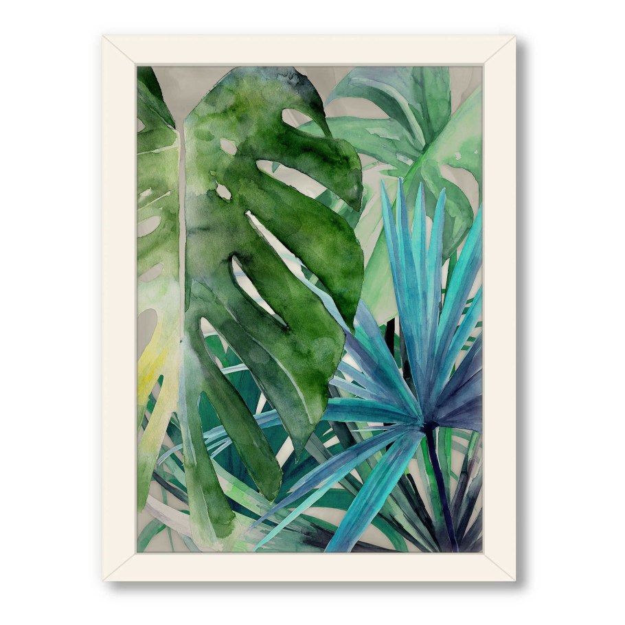 Филодендрон Андре веррукозум