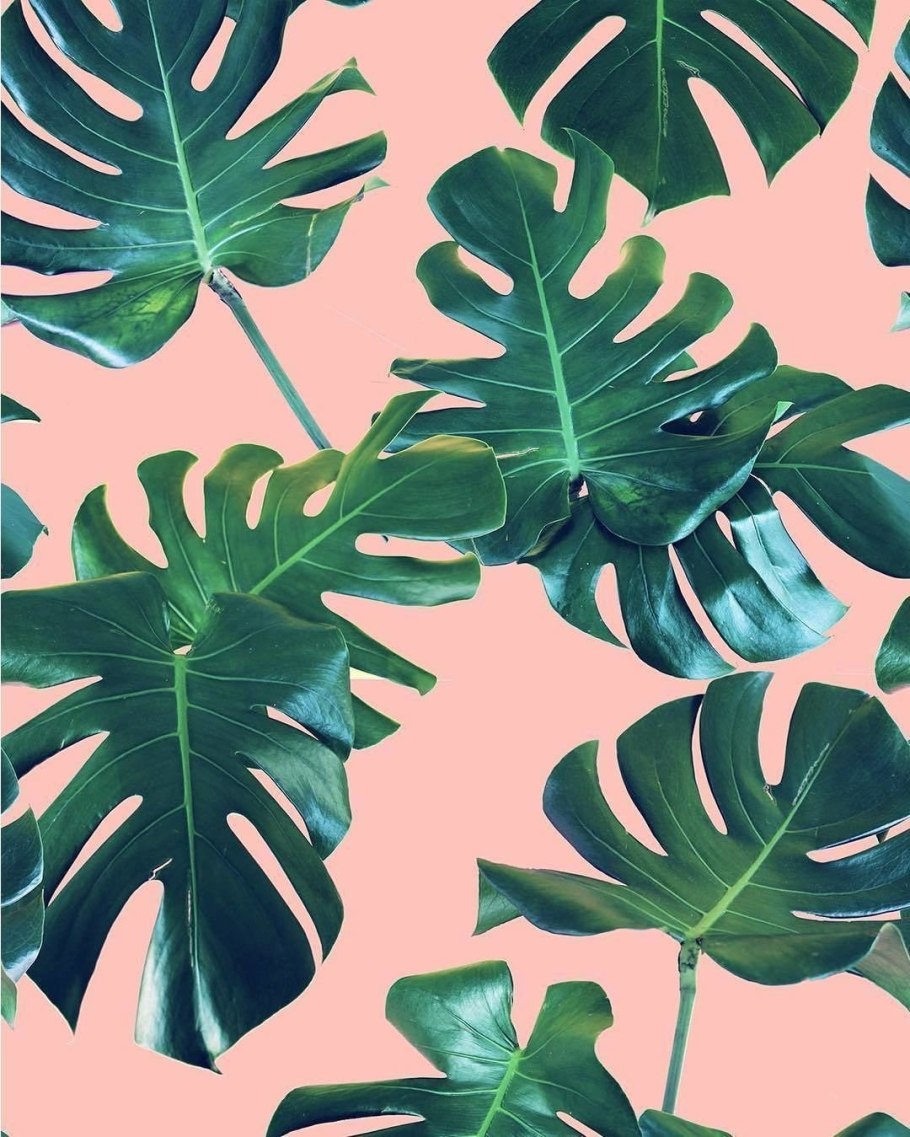 Монстер красный