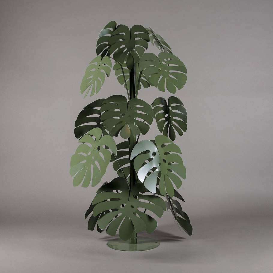 Монстера Альба Вариегата