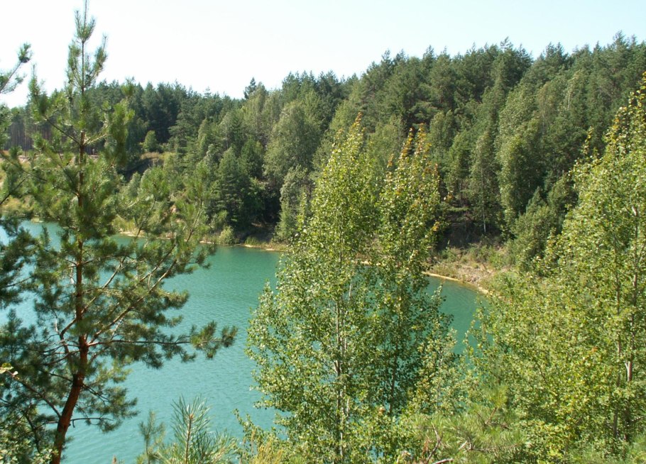 Мордовский заповедник Смольный