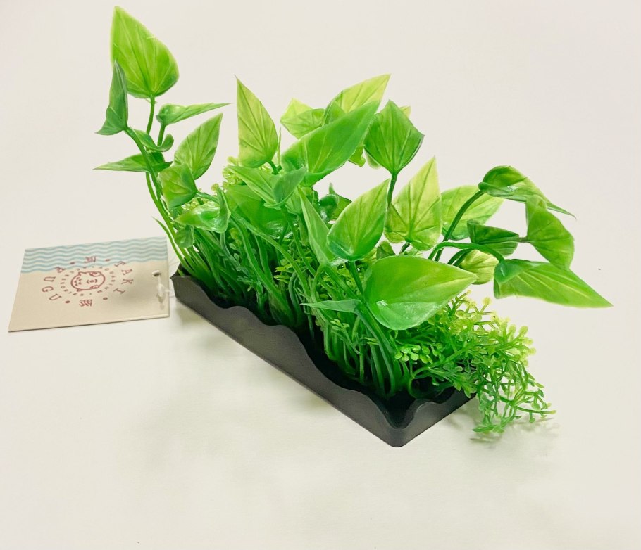 Гетерантера акваскейп