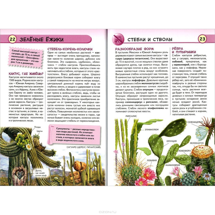 Полная энциклопедия растения Эксмо