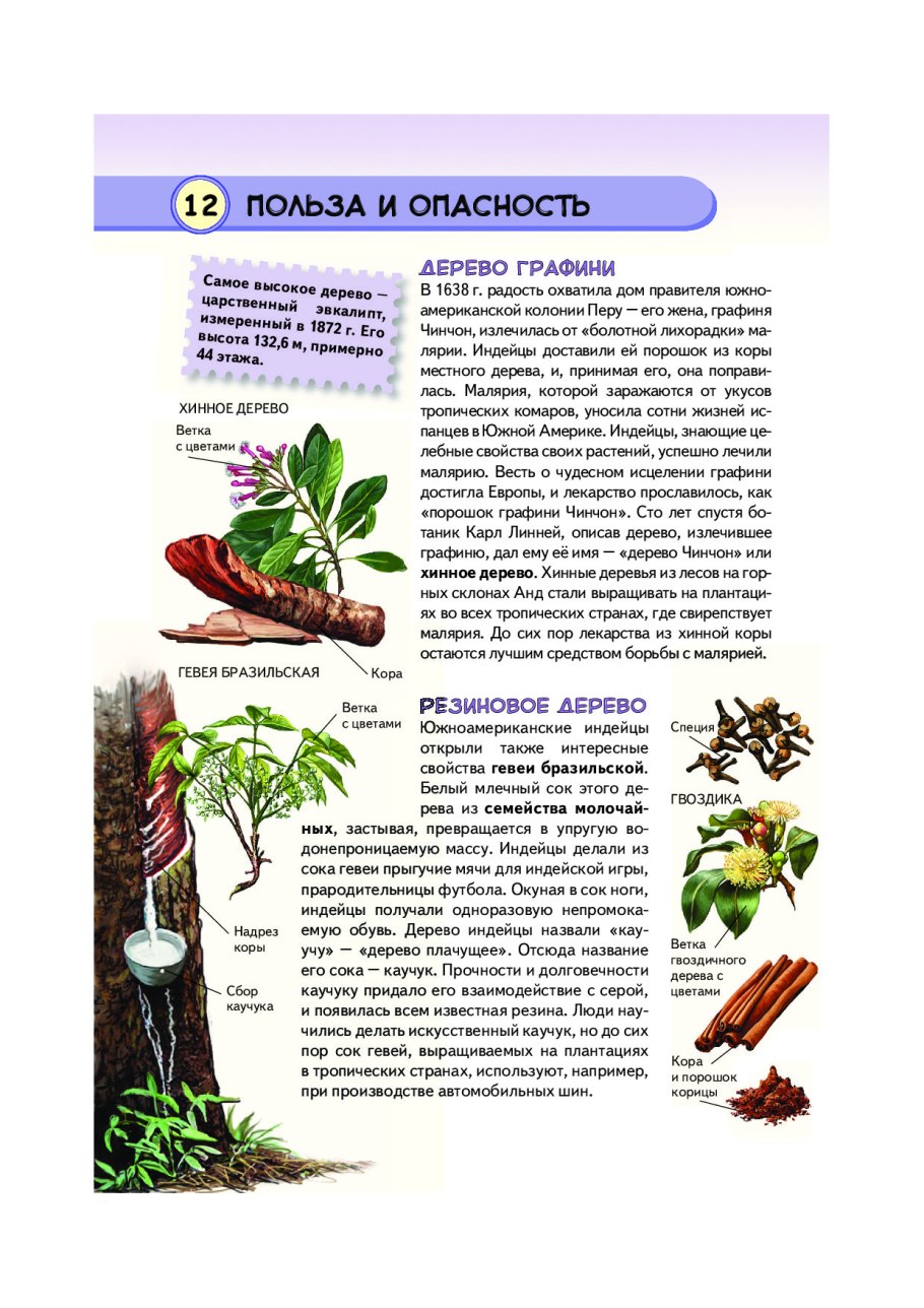 Энциклопедия тропических растений