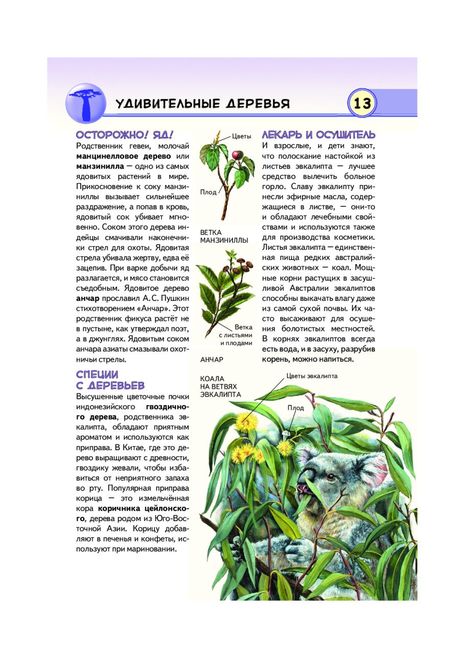 Книги про тропические растения