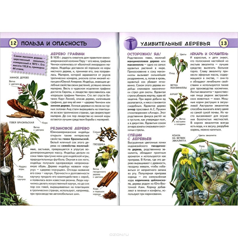 Энциклопедия тропических растений