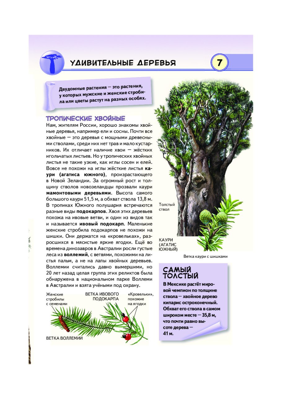 Книги про тропические растения