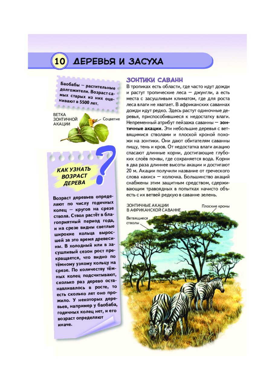 Тропические растения. Удивительная Флора жарких стран книга