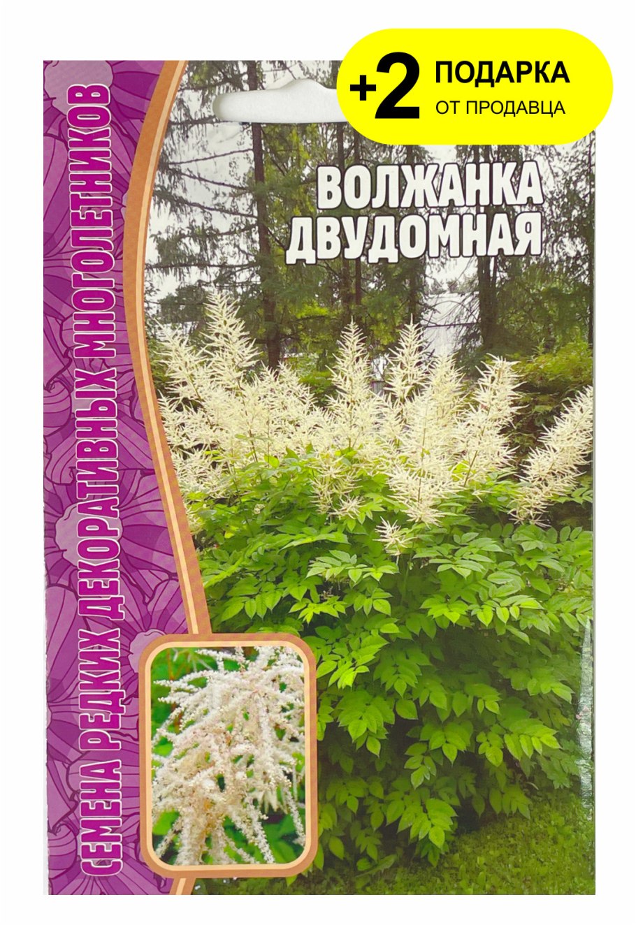 Спирея розовая Бумальда