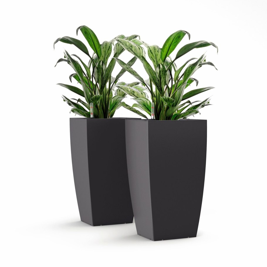 Цветок в горшке напольный