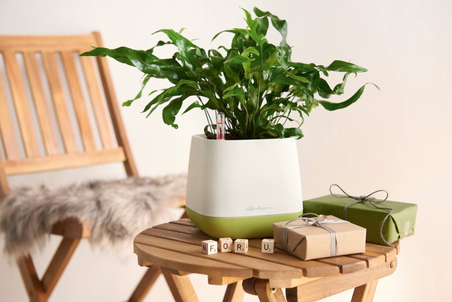 Кашпо Lechuza "Yula Pot"