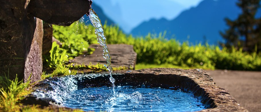 Луга разнотравье Пермского края