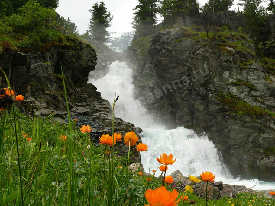 Ландшафт с прудиком