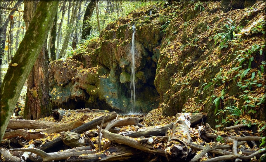 АИР болотный в пруду