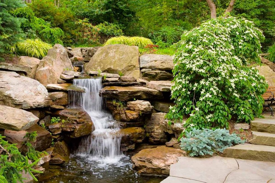 Ромашки у реки