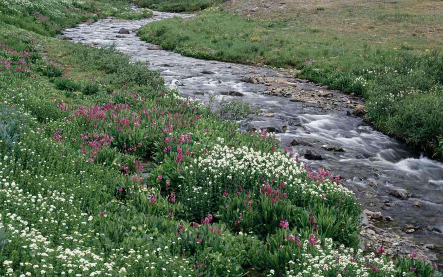 Горный ручей Испания