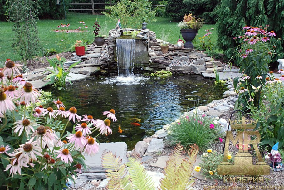 Всемирный день мониторинга воды