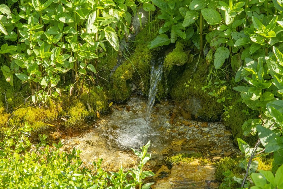 Гармония природы