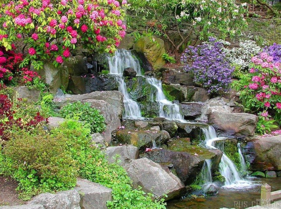 Вода источник жизни