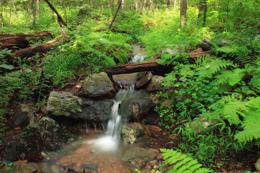 Родник ааштопф Германия