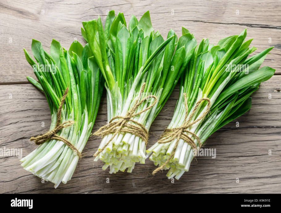 Черемша стручковая