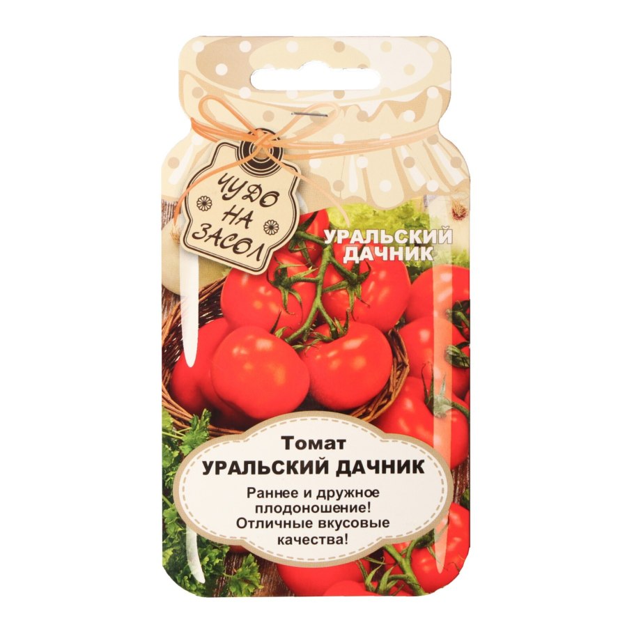 Помидоры Семеновна Уральский Дачник