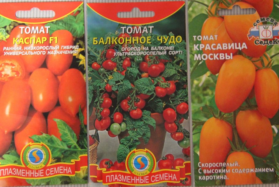 Непрядва сорт помидор