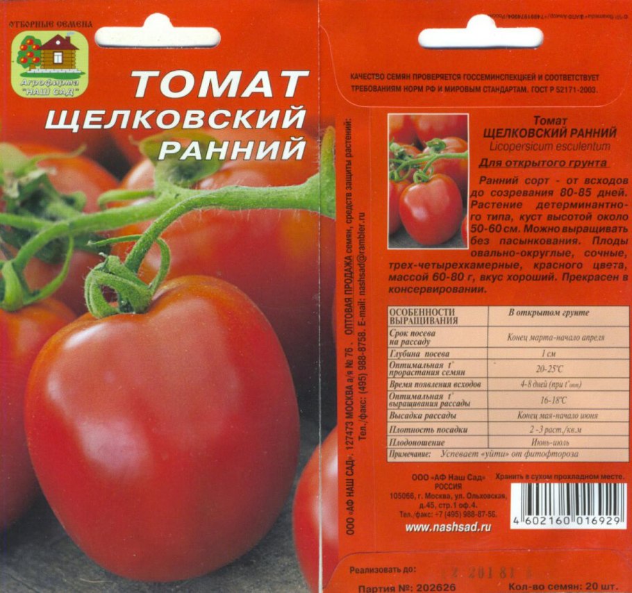 Помидоры сорт Альфа