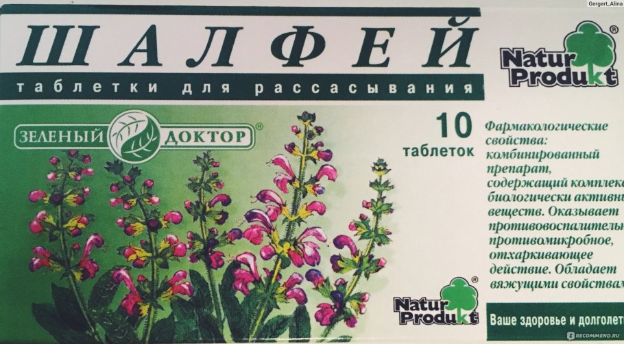 Сальвия микрофила