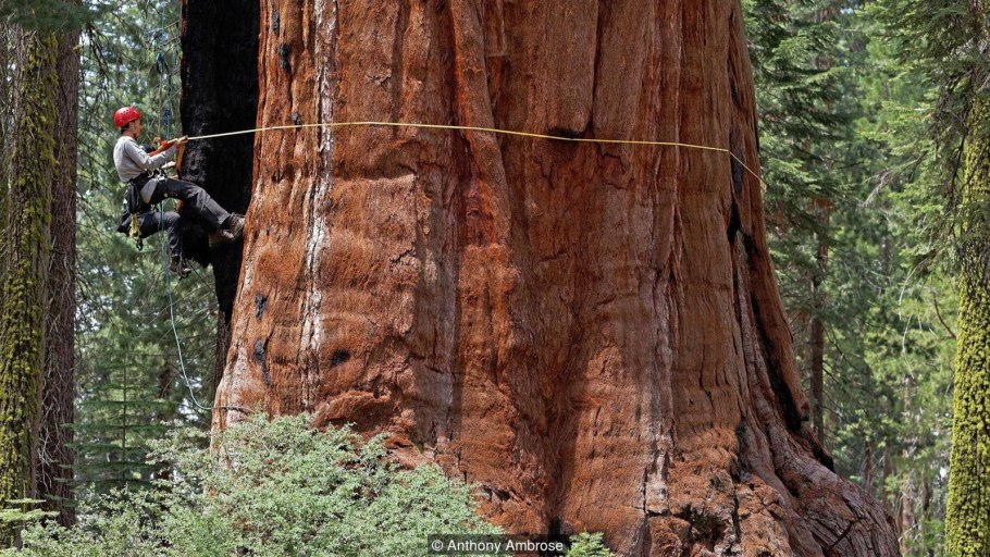 Национальный парк Секвойя альпинисты