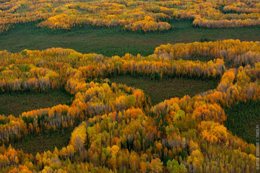 Васюганский заповедник Томской области