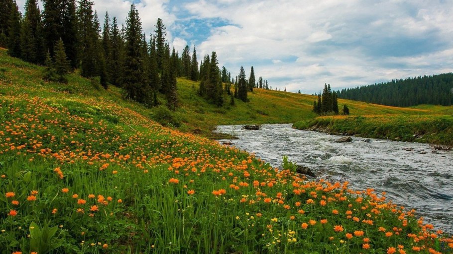 Тайга Ергаки
