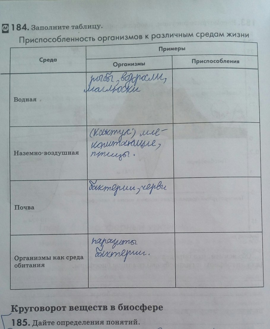 Стрелолист обыкновенный