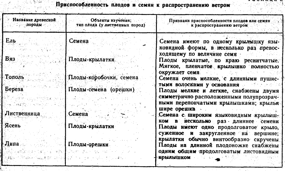Росянка приспособления к среде
