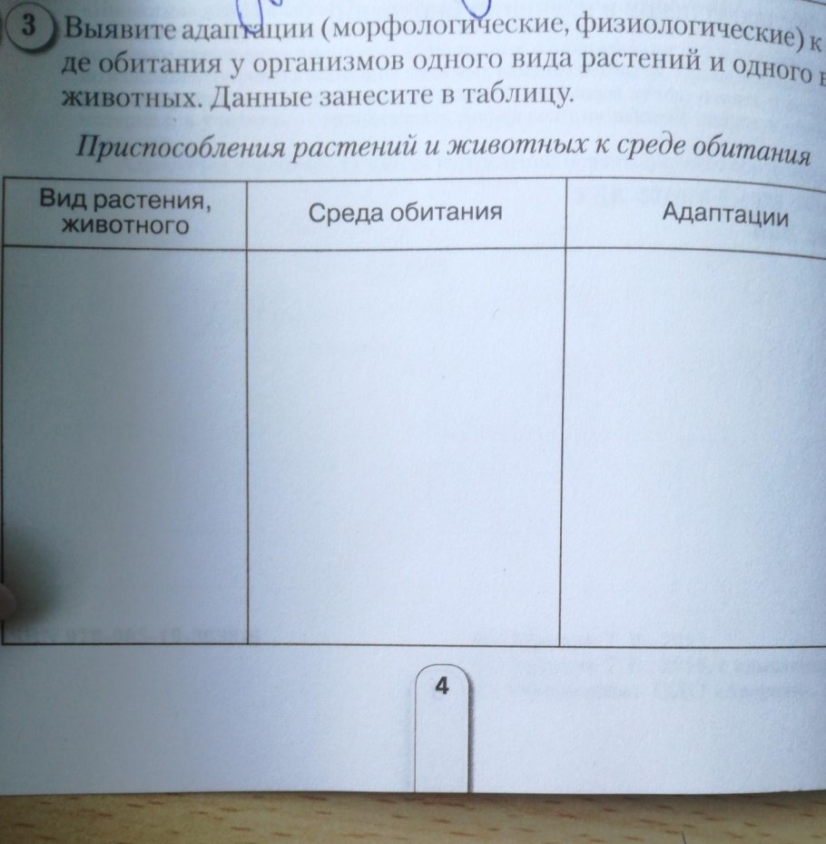 Стрелолист плоды
