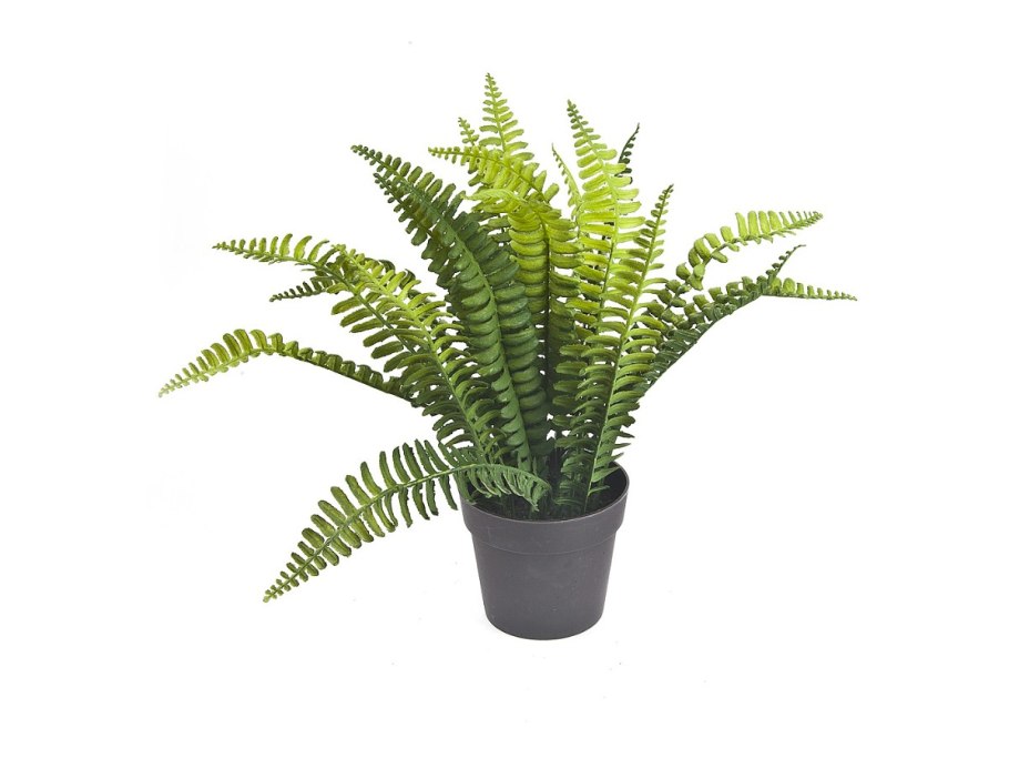 Дизайнерские кашпо для комнатных цветов