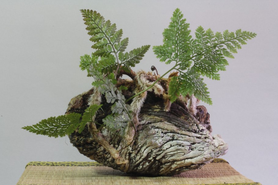 Искусственный папоротник в горшке