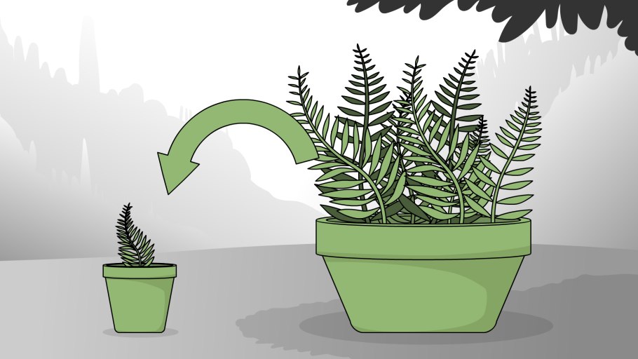 Пальма в горшке