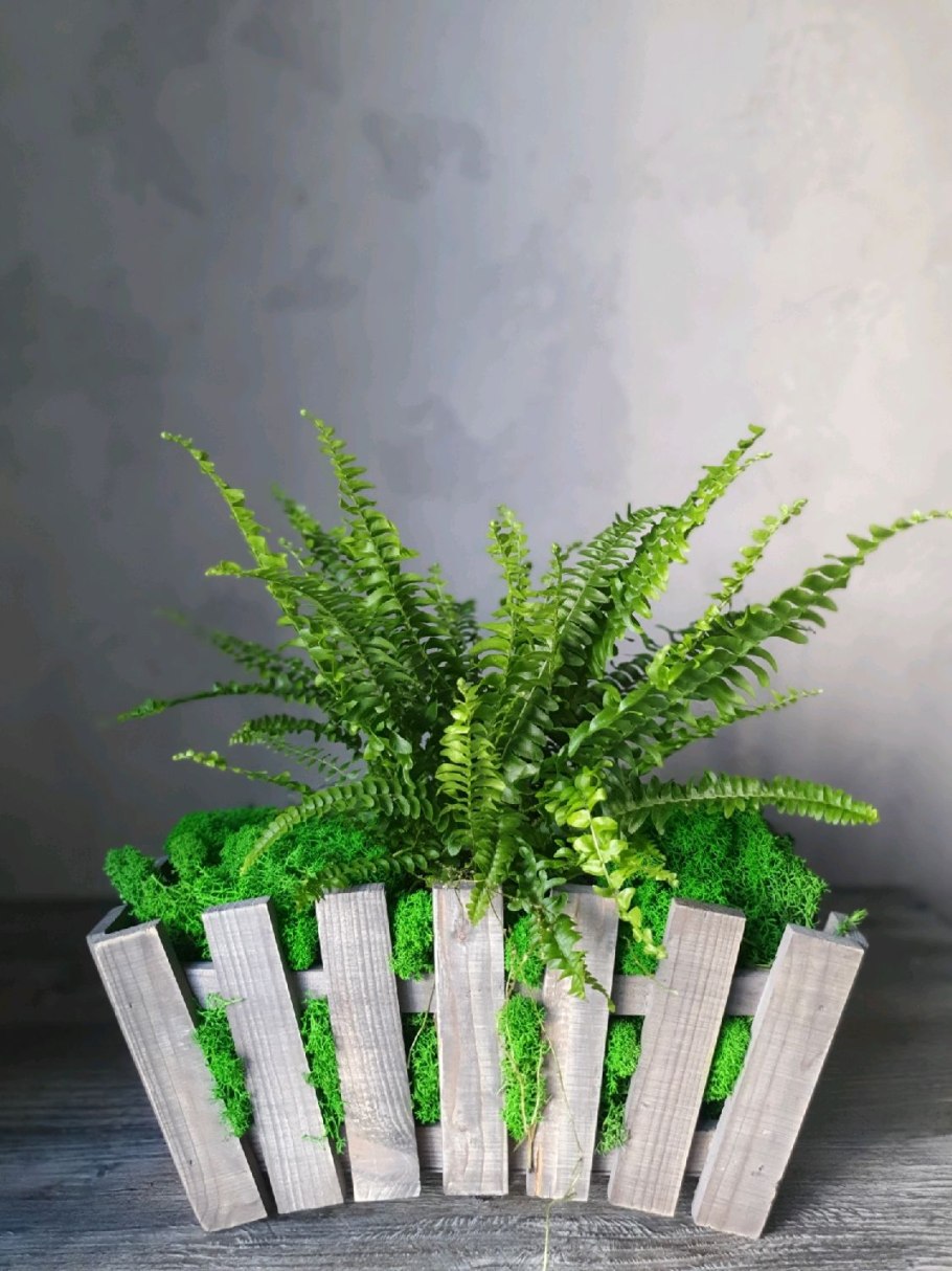 Икеа фейка папоротник