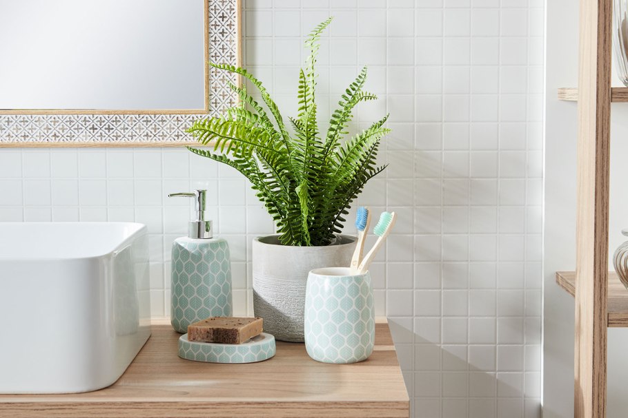 Папоротник в подвесном кашпо