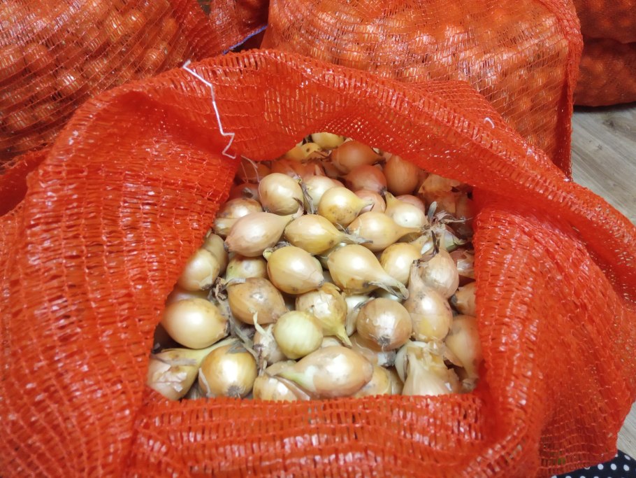 Калиброванный лук